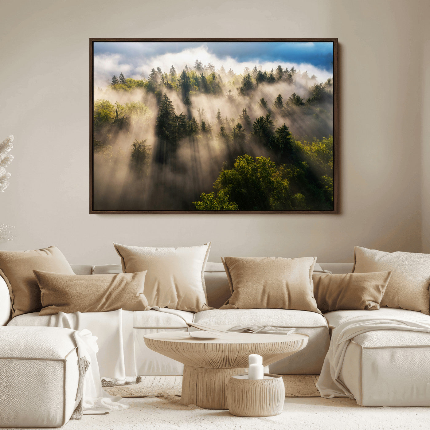 Sunlight streaming through misty pine trees in a lush green forest, creating a serene and atmospheric landscape, perfect for nature-inspired decor.
