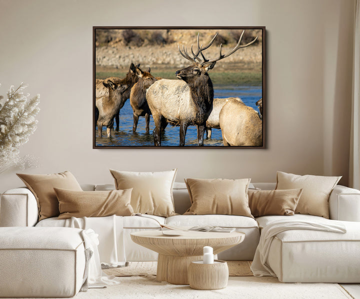 Wild Elk Photography Wall Art Canvas Print, Framed Neutral Wildlife Scene Art Picture Print, Rustic Animal Print Perfect Rustic Farmhouse