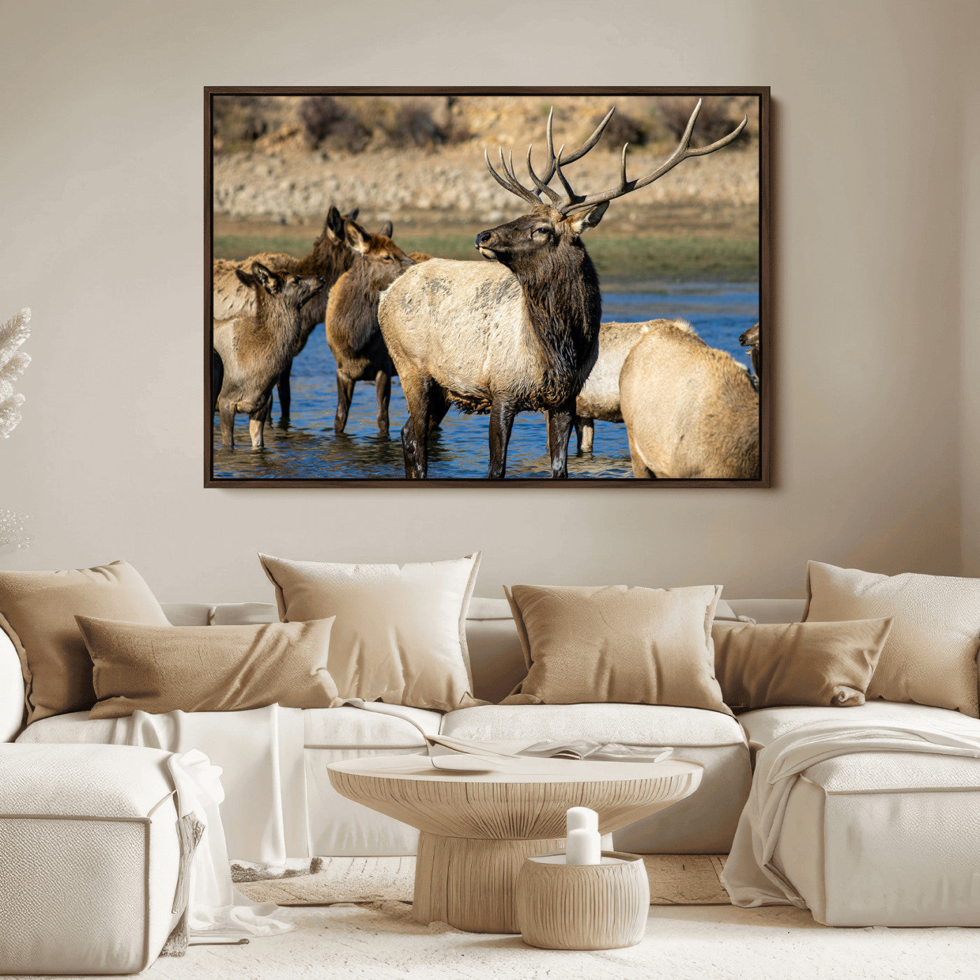 Group of elk standing in shallow water with dry rocky terrain in the background, showcasing wildlife in a natural setting for rustic decor.