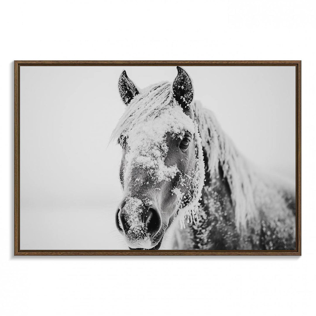 White Horse Wall Art: A black and white photo of a snow-covered horse, framed and ready to hang for farmhouse decor.