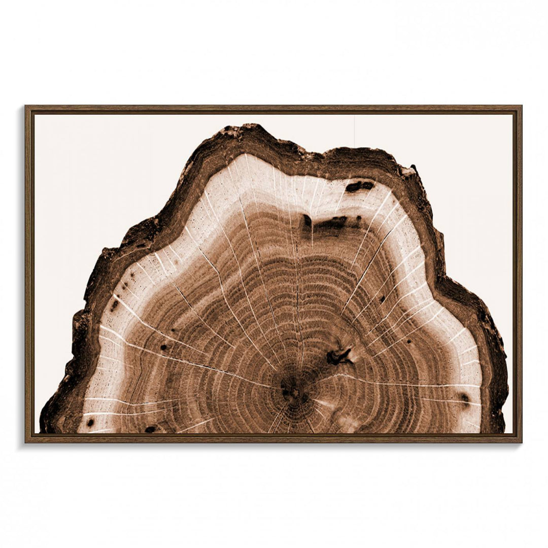 Close-up of the Rustic Wood Rings Wall Art featuring detailed tree rings and natural texture on a plain white background.