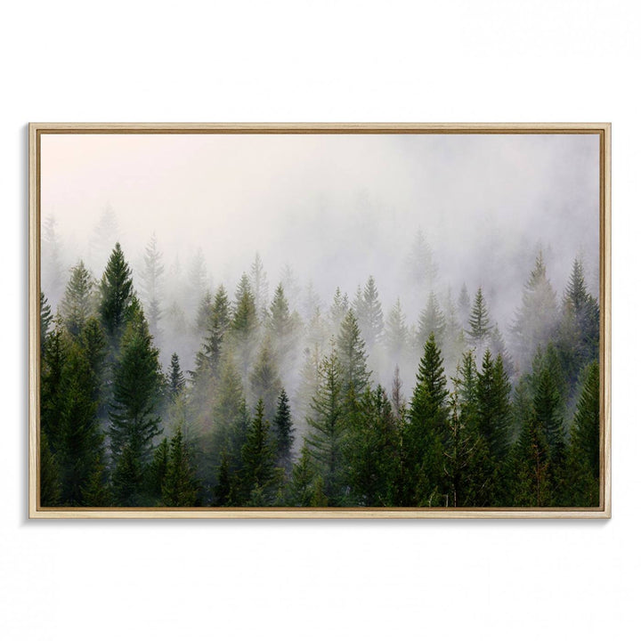 A serene, foggy evergreen forest creates a mysterious atmosphere, ideal for premium canvas wall art.