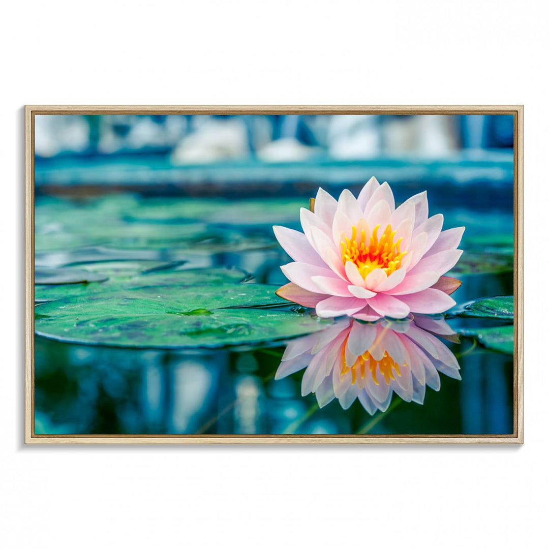 The Lotus Flower Canvas Print showcases a pink water lily with a yellow center gracefully floating on a calm pond.