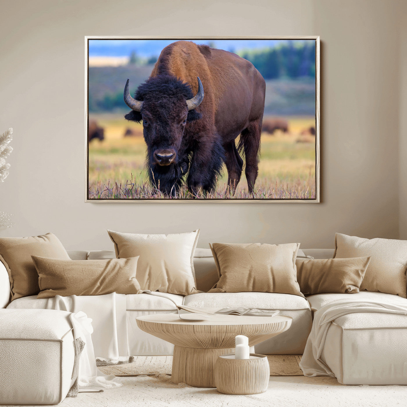 Close-up of a strong American bison standing in a grassy prairie with a blurred herd in background, perfect for rustic lodge decor.