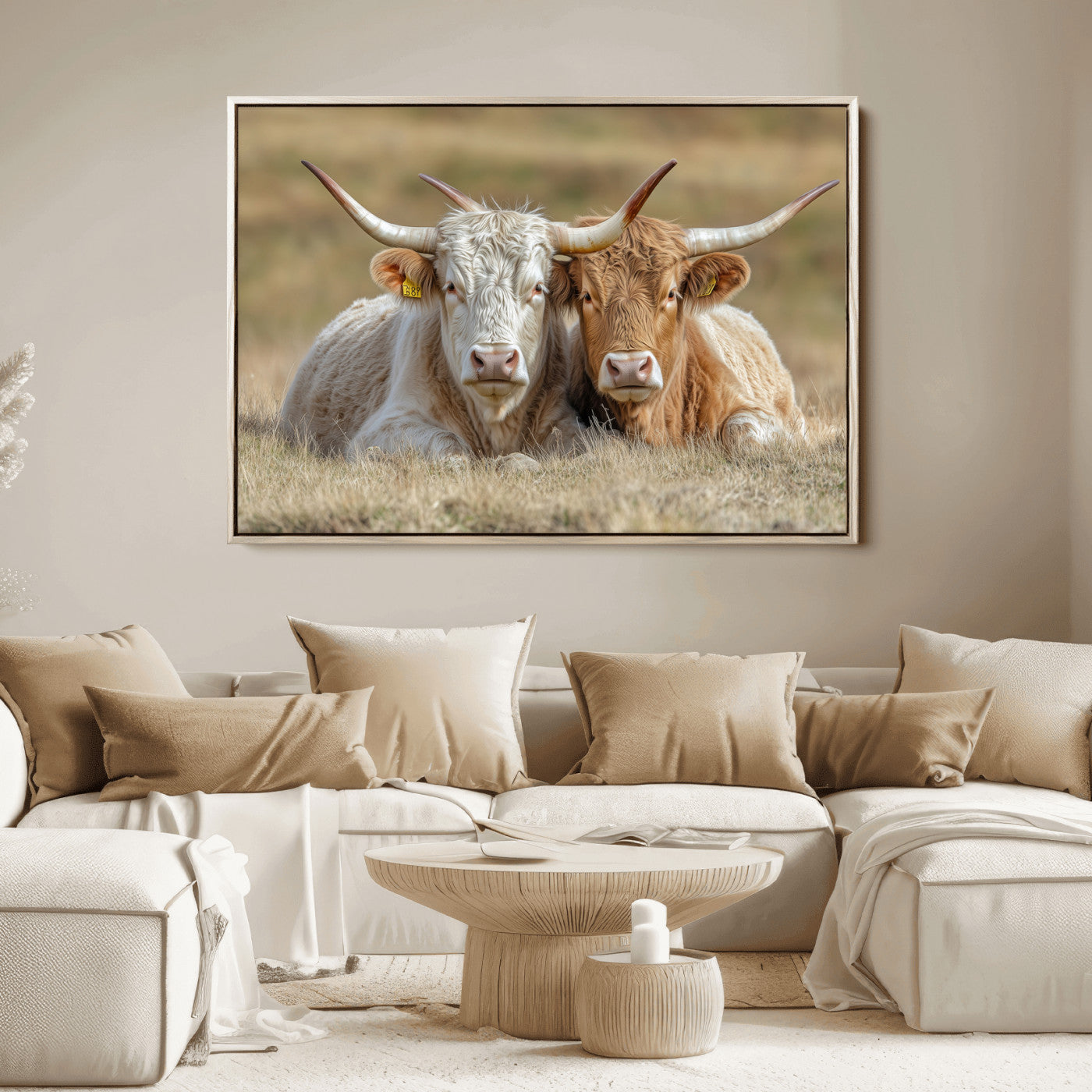 Two cows laying closely in a dry grassy field, captured in soft light, perfect for rustic farmhouse or western style home decor.