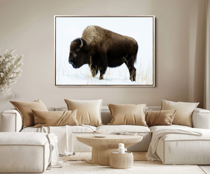 Bison Photography Wall Art Canvas Print, Framed Western Wildlife Art Picture Print, Buffalo On Snow Perfect Western Decor Artwork