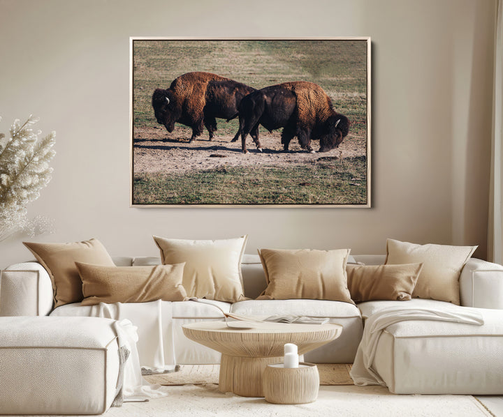Bison Photography Wall Art Canvas Print, Framed Western Wildlife Art Picture Print, Modern Ranch Perfect Western Rustic Decor Artwork