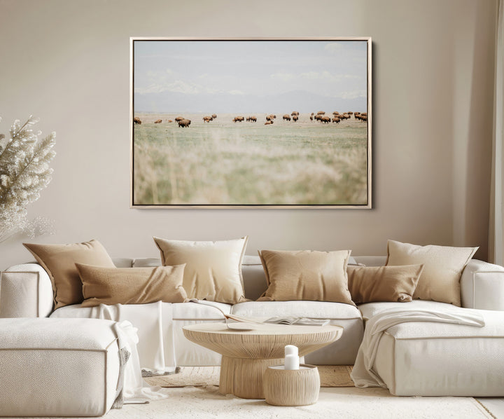 Bison Herd Wall Art Canvas Print, Framed Western Art Picture Print, Bison Perfect Ranch Decor Artwork