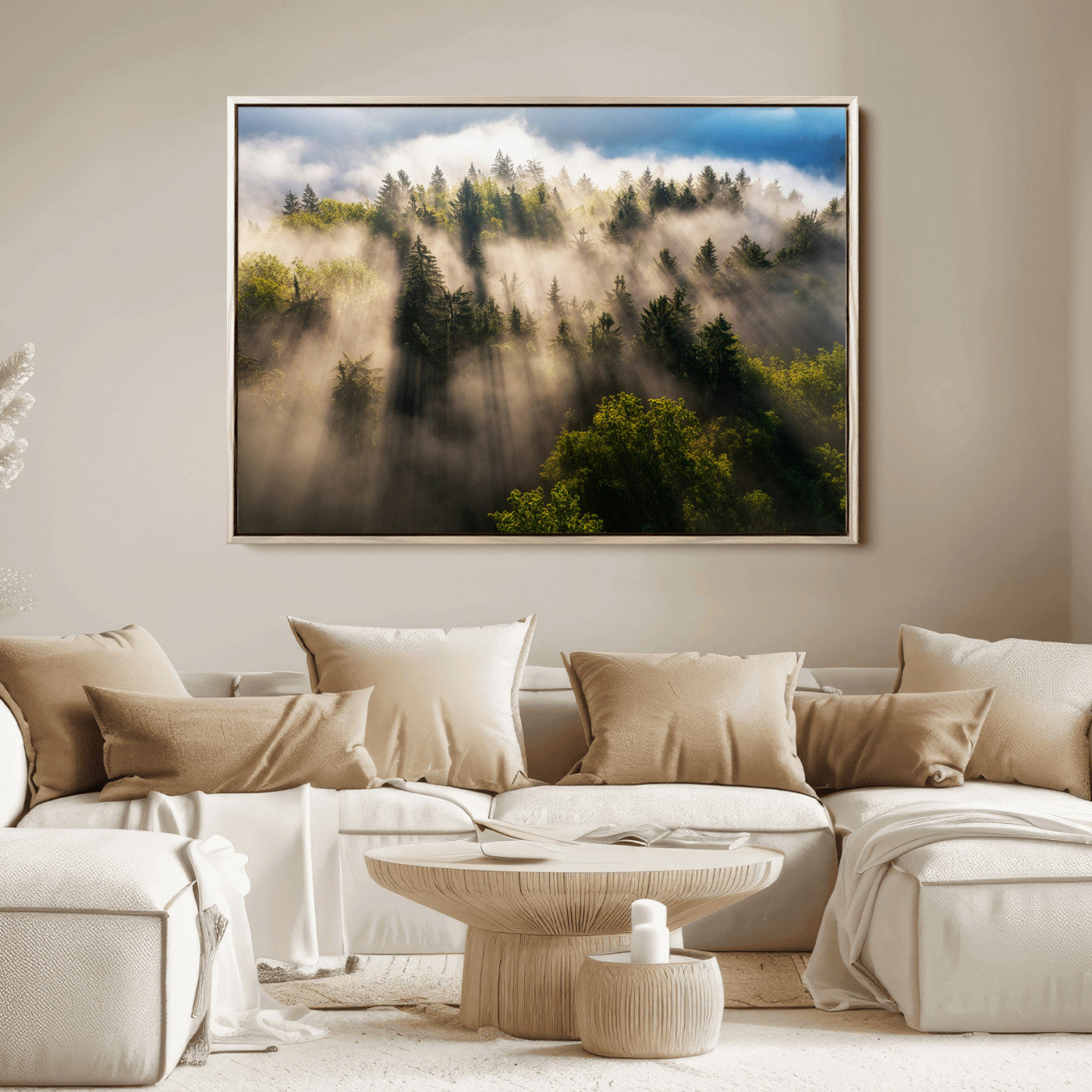 Sunlight streaming through misty pine trees in a lush green forest, creating a serene and atmospheric landscape, perfect for nature-inspired decor.