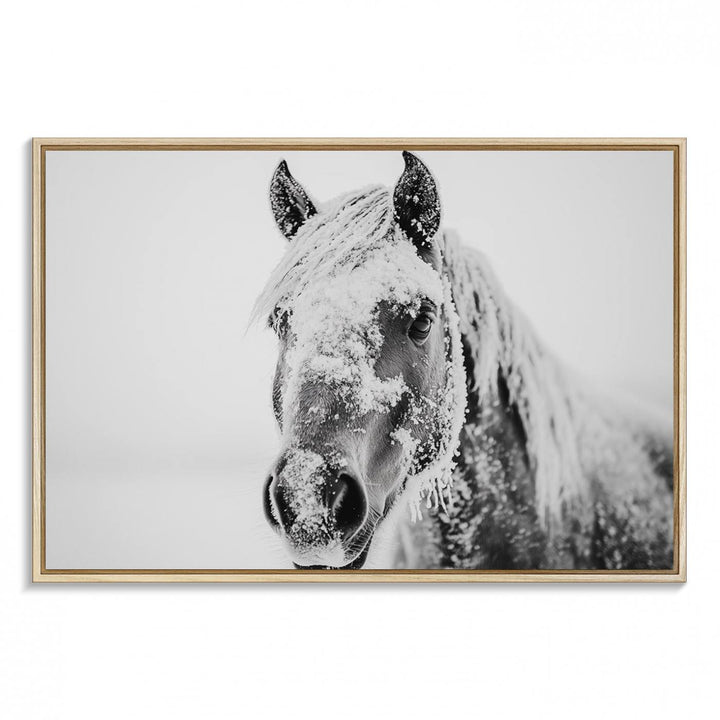 White Horse Wall Art: A black and white photo of a snow-covered horse, framed and ready to hang for farmhouse decor.