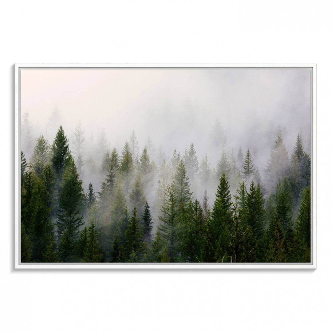 A serene, foggy evergreen forest creates a mysterious atmosphere, ideal for premium canvas wall art.