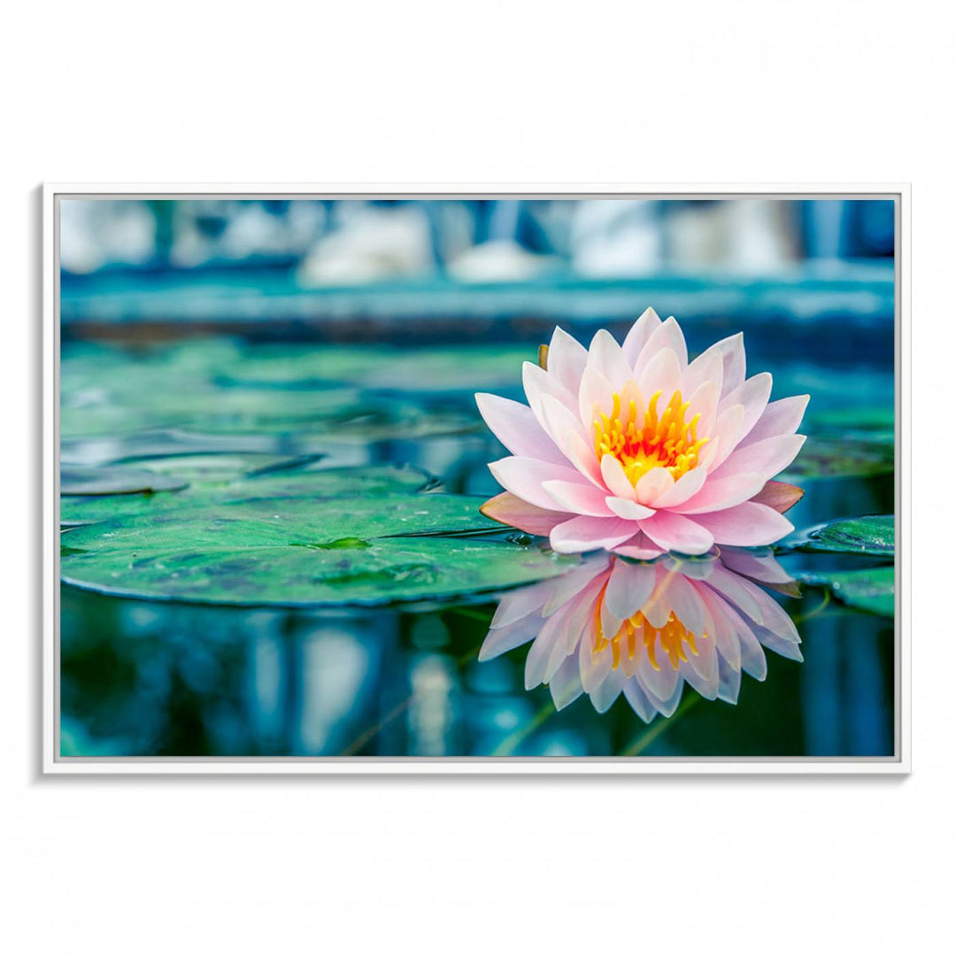 The Lotus Flower Canvas Print showcases a pink water lily with a yellow center gracefully floating on a calm pond.