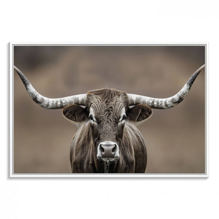 A close-up of a longhorn bull facing forward is featured in the Framed Texas Test-1, set against a blurred brown background.