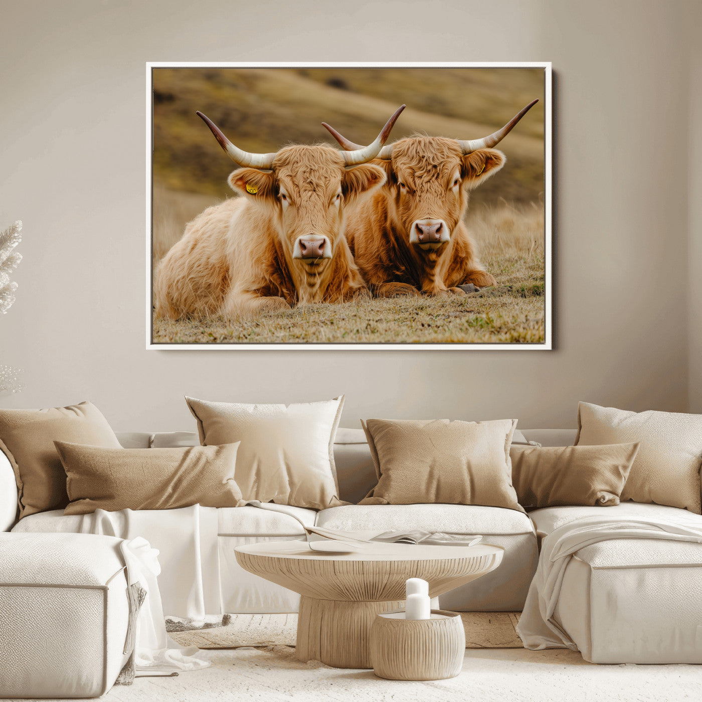 Two Highland cows resting on a golden field with soft focus hills, ideal for rustic farmhouse or cozy cabin style decor.