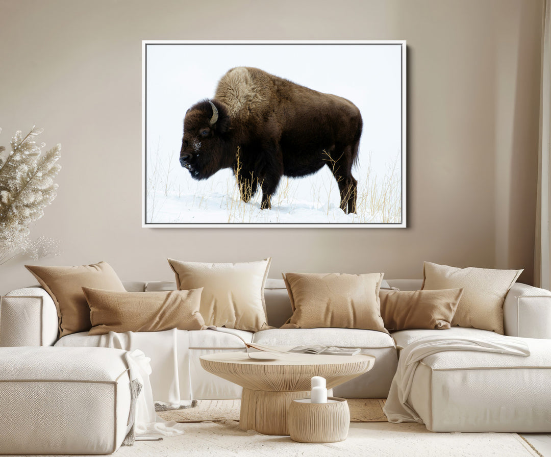 Bison Photography Wall Art Canvas Print, Framed Western Wildlife Art Picture Print, Buffalo On Snow Perfect Western Decor Artwork