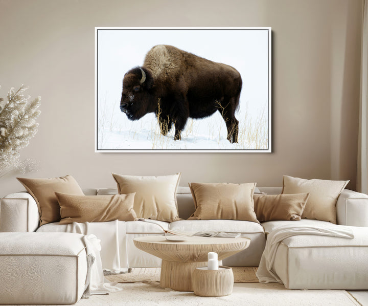 Bison Photography Wall Art Canvas Print, Framed Western Wildlife Art Picture Print, Buffalo On Snow Perfect Western Decor Artwork