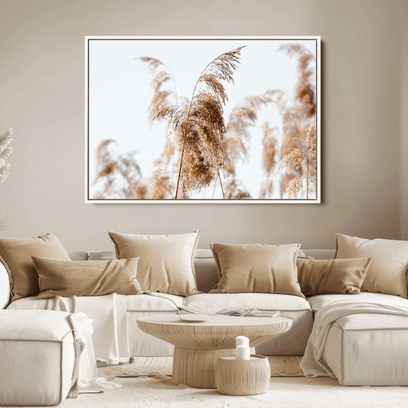 Close-up of pampas grass swaying in the wind against a soft white sky, creating a neutral and minimalist botanical aesthetic.