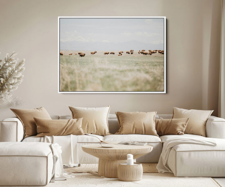 Bison Herd Wall Art Canvas Print, Framed Western Art Picture Print, Bison Perfect Ranch Decor Artwork
