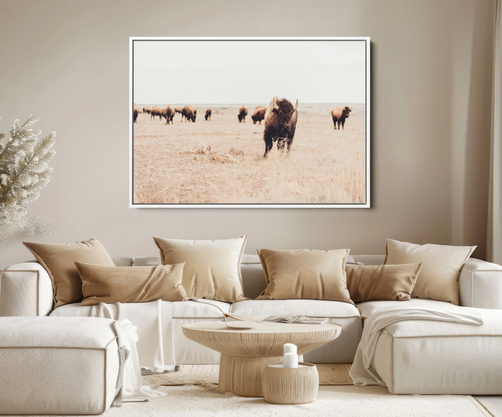 Bison Herd Wall Art Canvas Print, Framed Western Art Picture Print, Prairie Serenity Perfect Ranch Decor Artwork