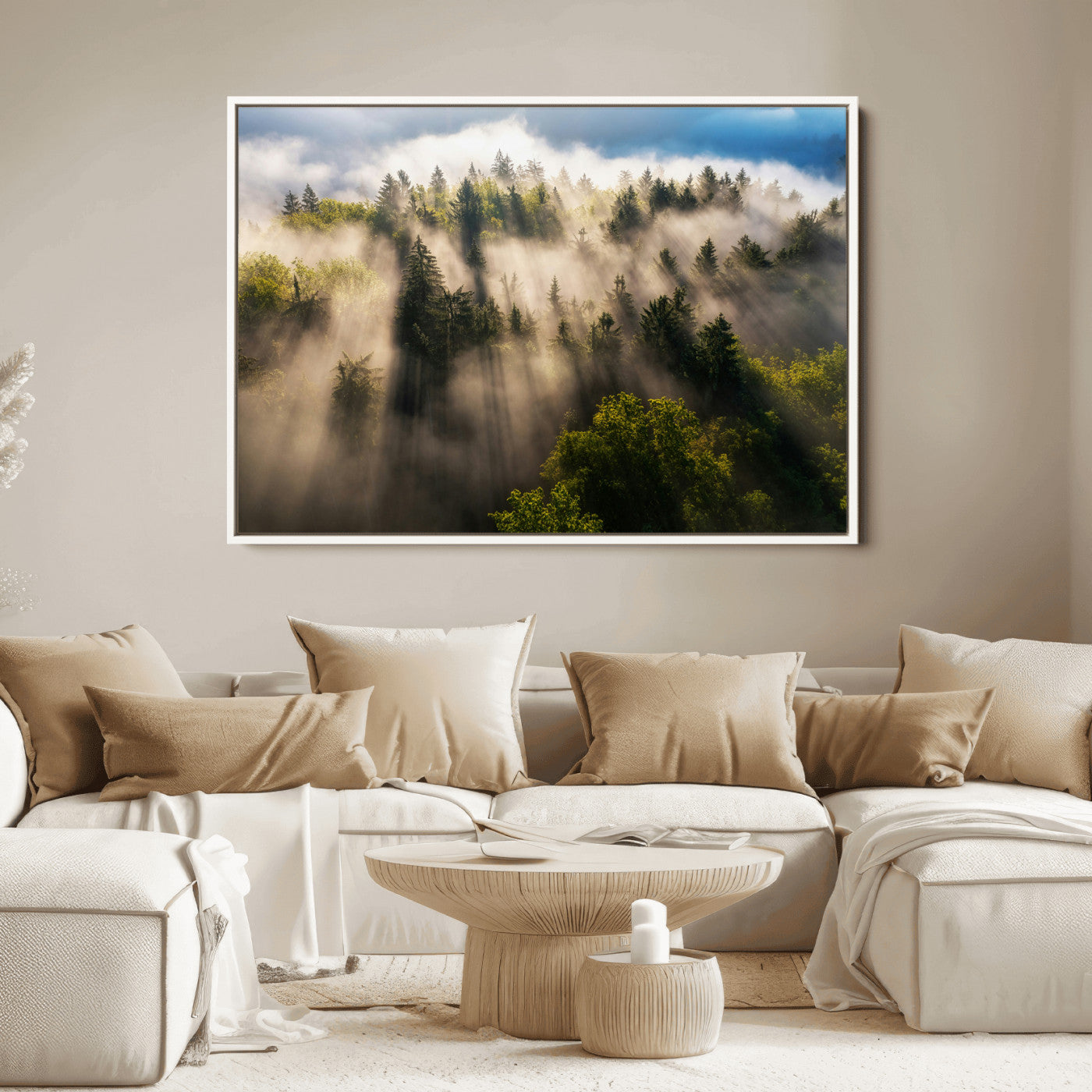 Sunlight streaming through misty pine trees in a lush green forest, creating a serene and atmospheric landscape, perfect for nature-inspired decor.