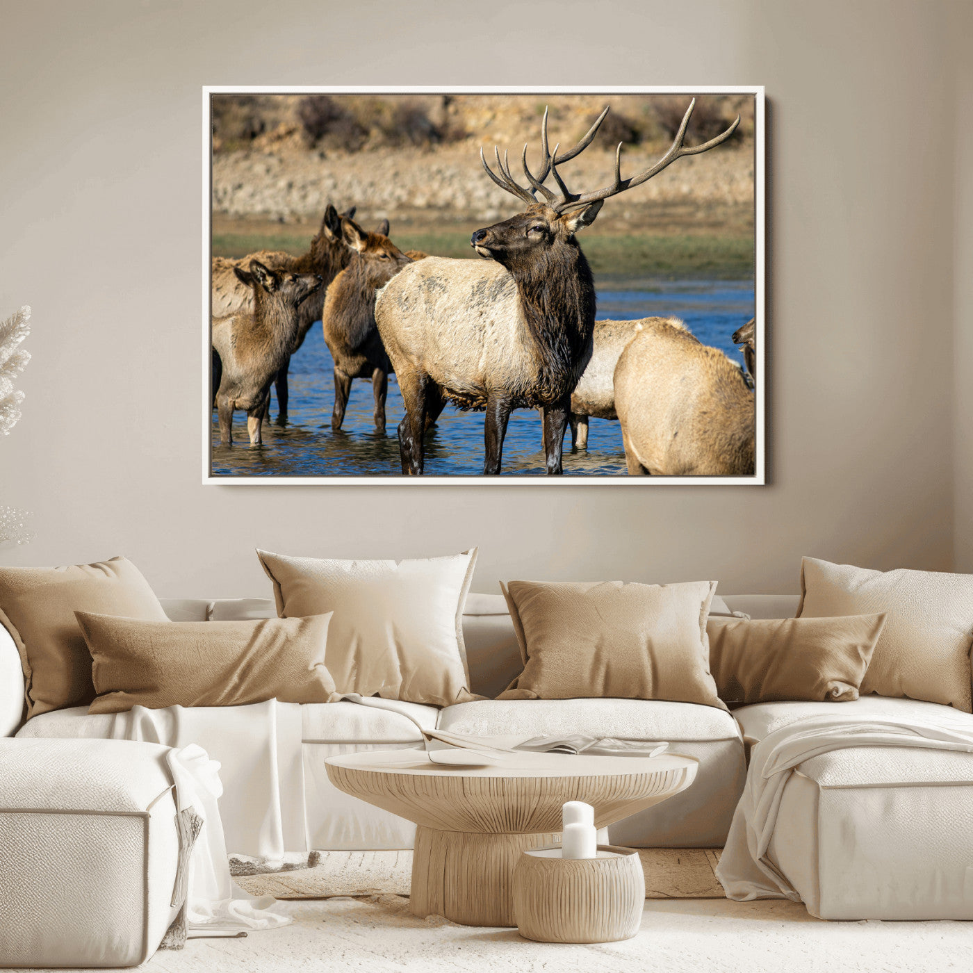 Group of elk standing in shallow water with dry rocky terrain in the background, showcasing wildlife in a natural setting for rustic decor.