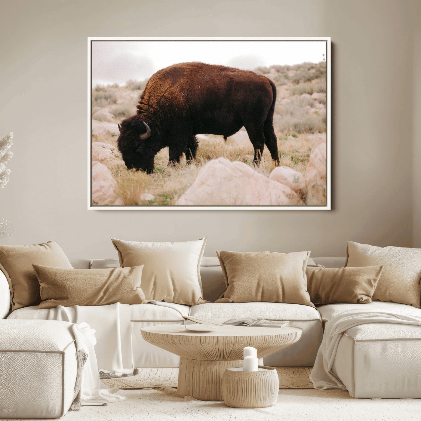 A solitary bison grazing in a rugged prairie with earthy tones and scattered rocks, capturing the essence of the American West for rustic decor.
