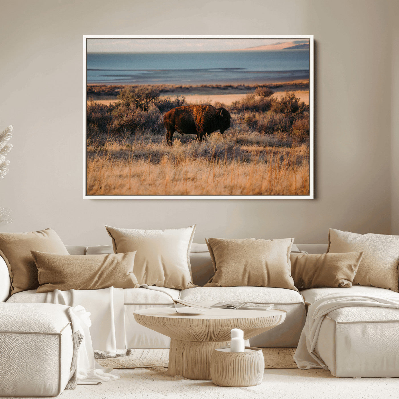A lone bison grazing in golden prairie grass at sunset, with warm earthy tones and a distant lake view, perfect for rustic and western decor.