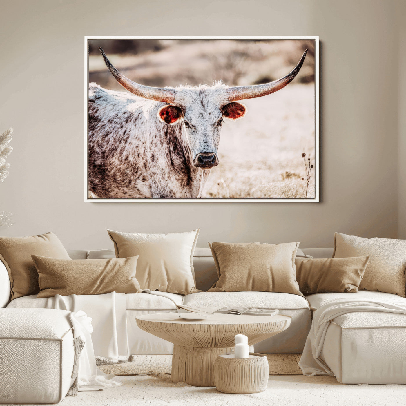 Close-up photograph of a white and brown speckled longhorn cow with very large, curved horns standing in a sunlit field with dry grass and blurred background.