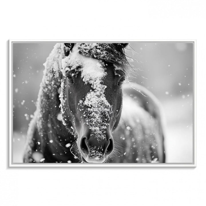 The Black and White Horse Winter Wall Art features a majestic horse with snow-covered hair set against a serene winter backdrop.