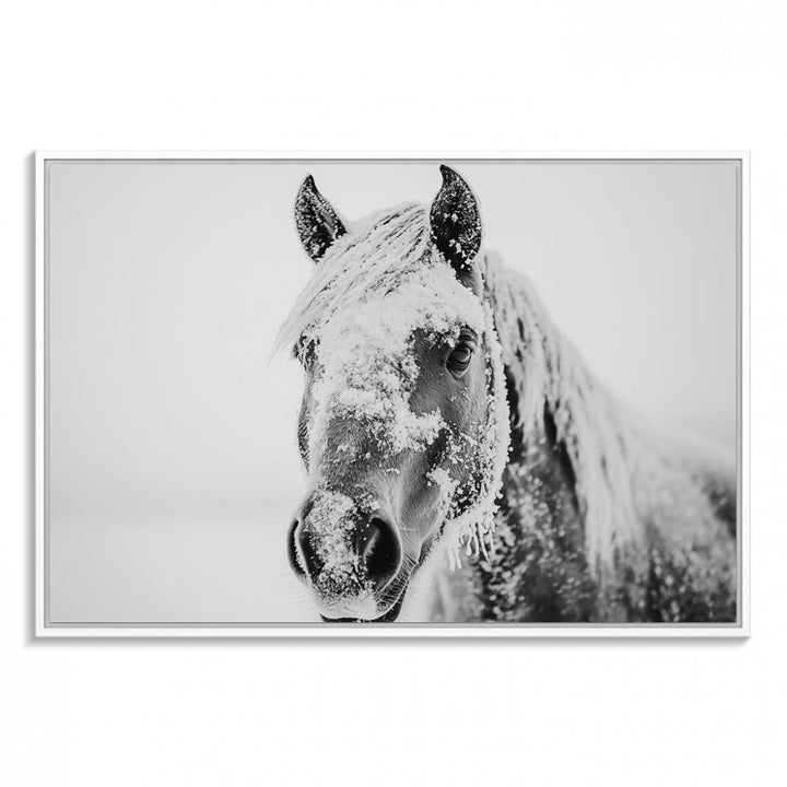 White Horse Wall Art: A black and white photo of a snow-covered horse, framed and ready to hang for farmhouse decor.