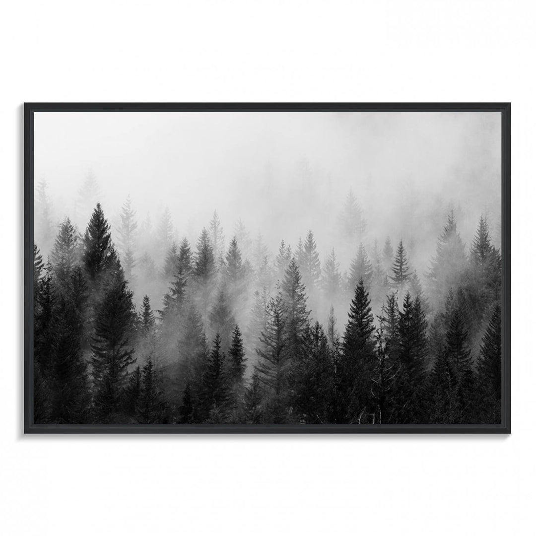 Fogy Forest Canvas Art features misty pines and a mountain landscape.