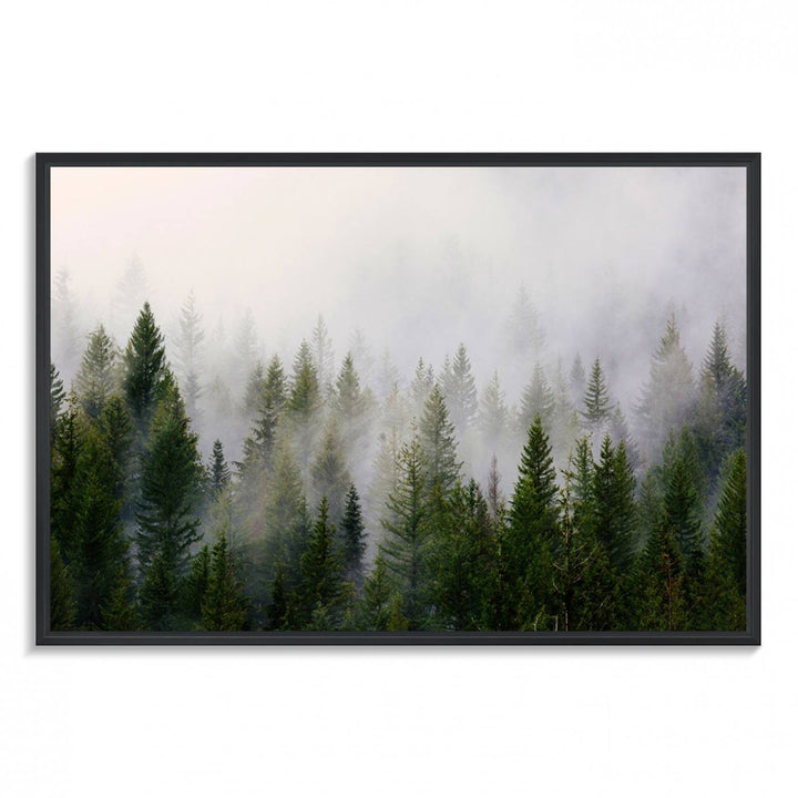 A serene, foggy evergreen forest creates a mysterious atmosphere, ideal for premium canvas wall art.