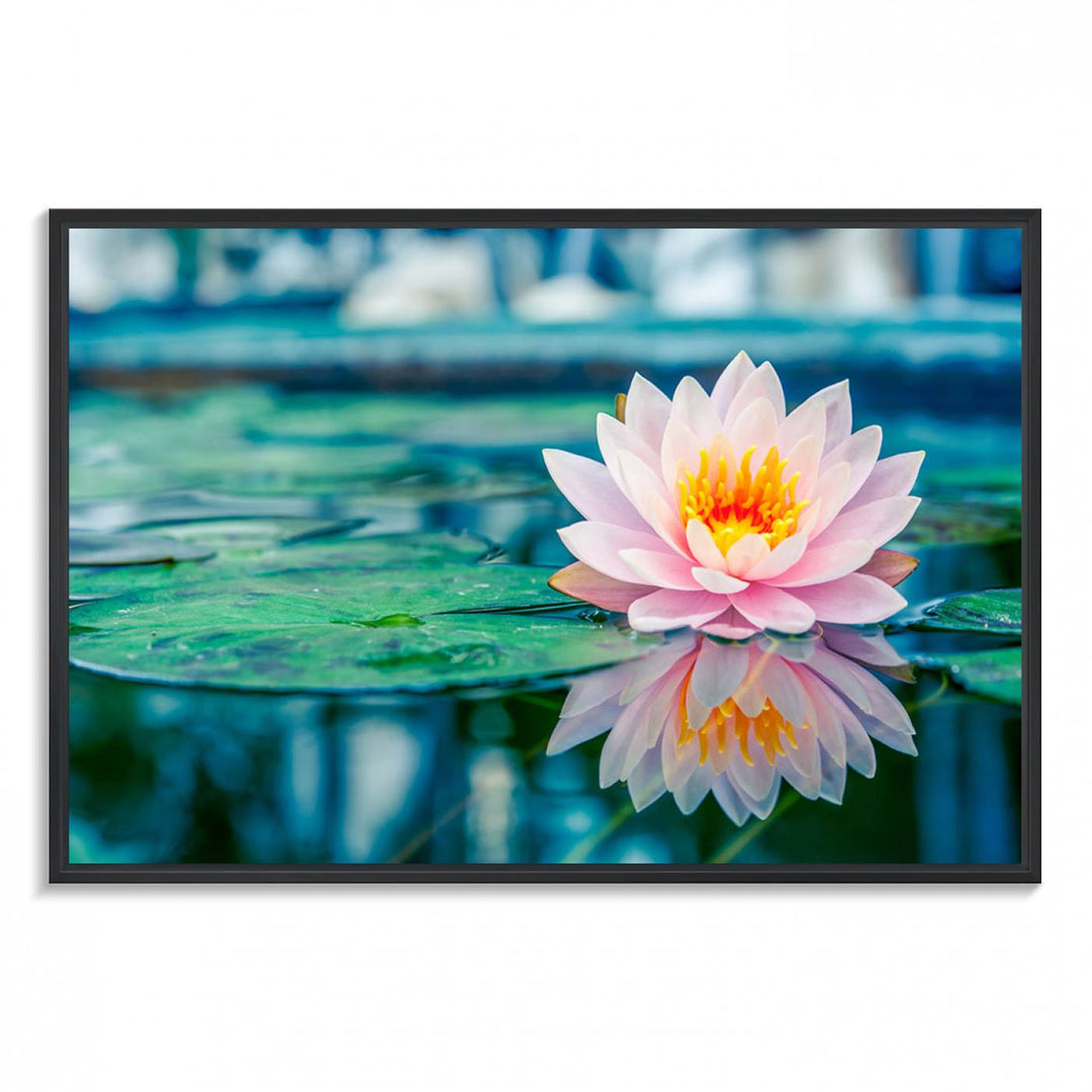 The Lotus Flower Canvas Print showcases a pink water lily with a yellow center gracefully floating on a calm pond.