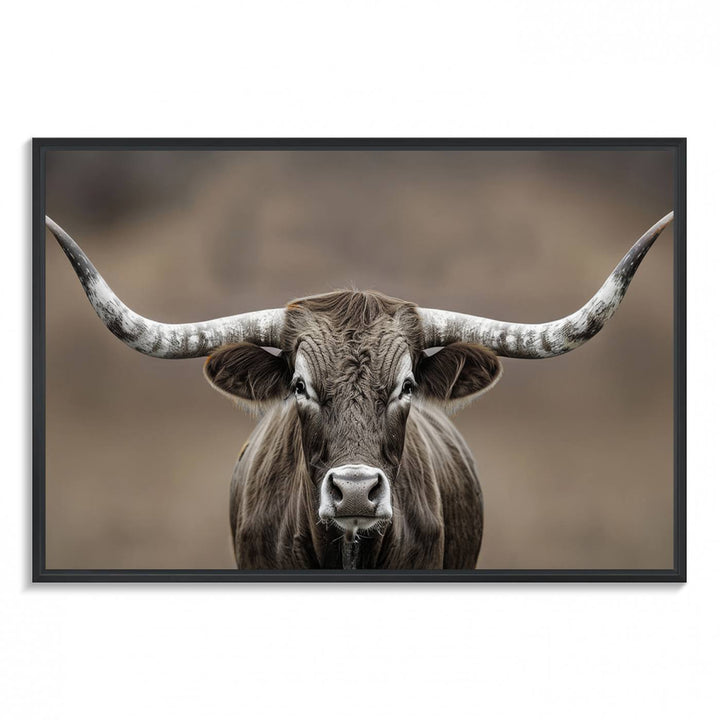 A close-up of a longhorn bull facing forward is featured in the Framed Texas Test-1, set against a blurred brown background.