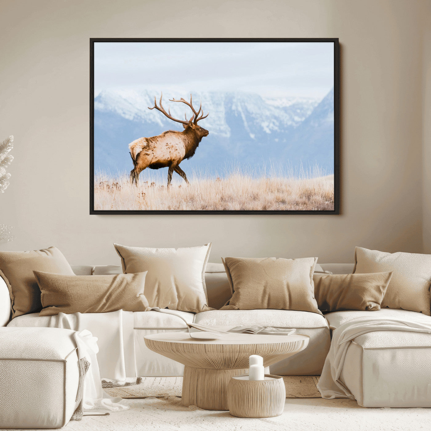 An elk walking on snowy grassland with majestic mountains in the background, ideal for rustic lodge or cabin wall decor.