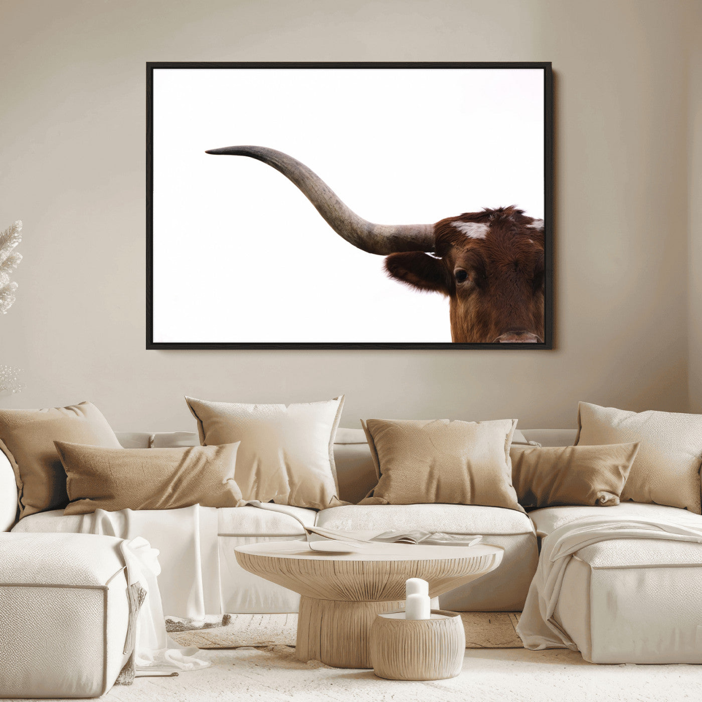 Close-up of Texas Longhorn horn and eye on white background, perfect for minimalist or modern farmhouse style wall decor.