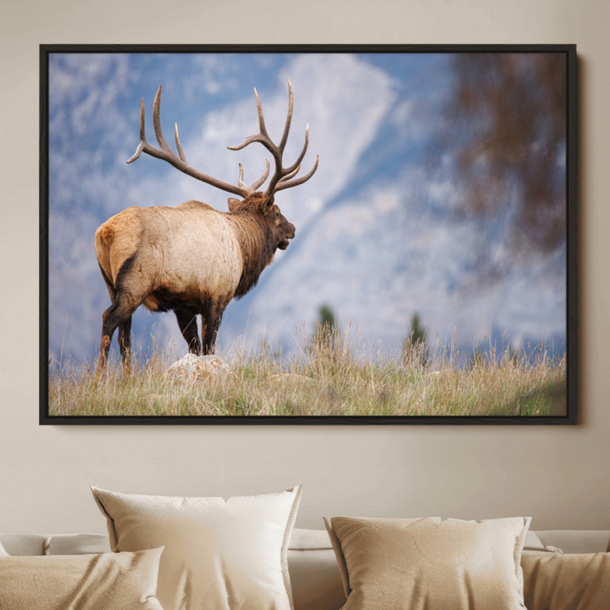 Elk with antlers standing on grass with mountain background, ideal for rustic, cabin, or lodge-inspired wall decor.