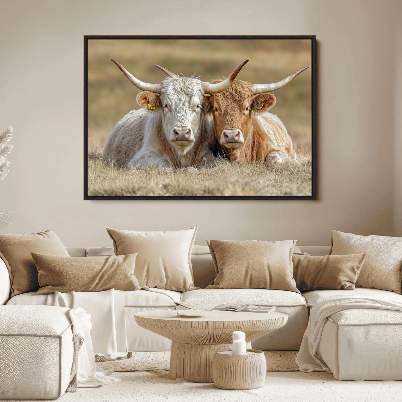Two cows laying closely in a dry grassy field, captured in soft light, perfect for rustic farmhouse or western style home decor.