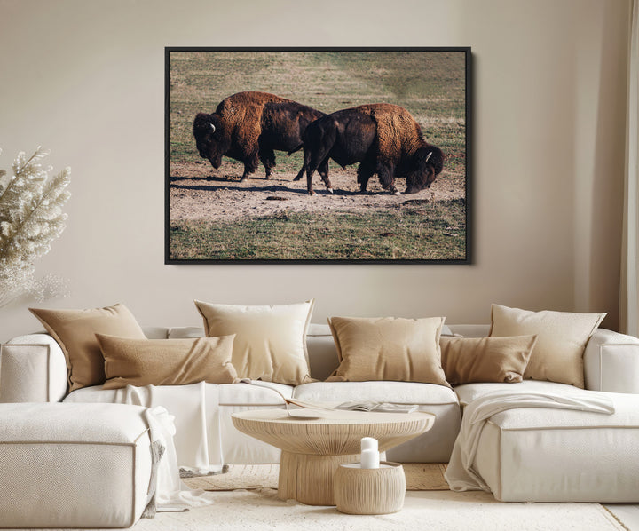 Bison Photography Wall Art Canvas Print, Framed Western Wildlife Art Picture Print, Modern Ranch Perfect Western Rustic Decor Artwork