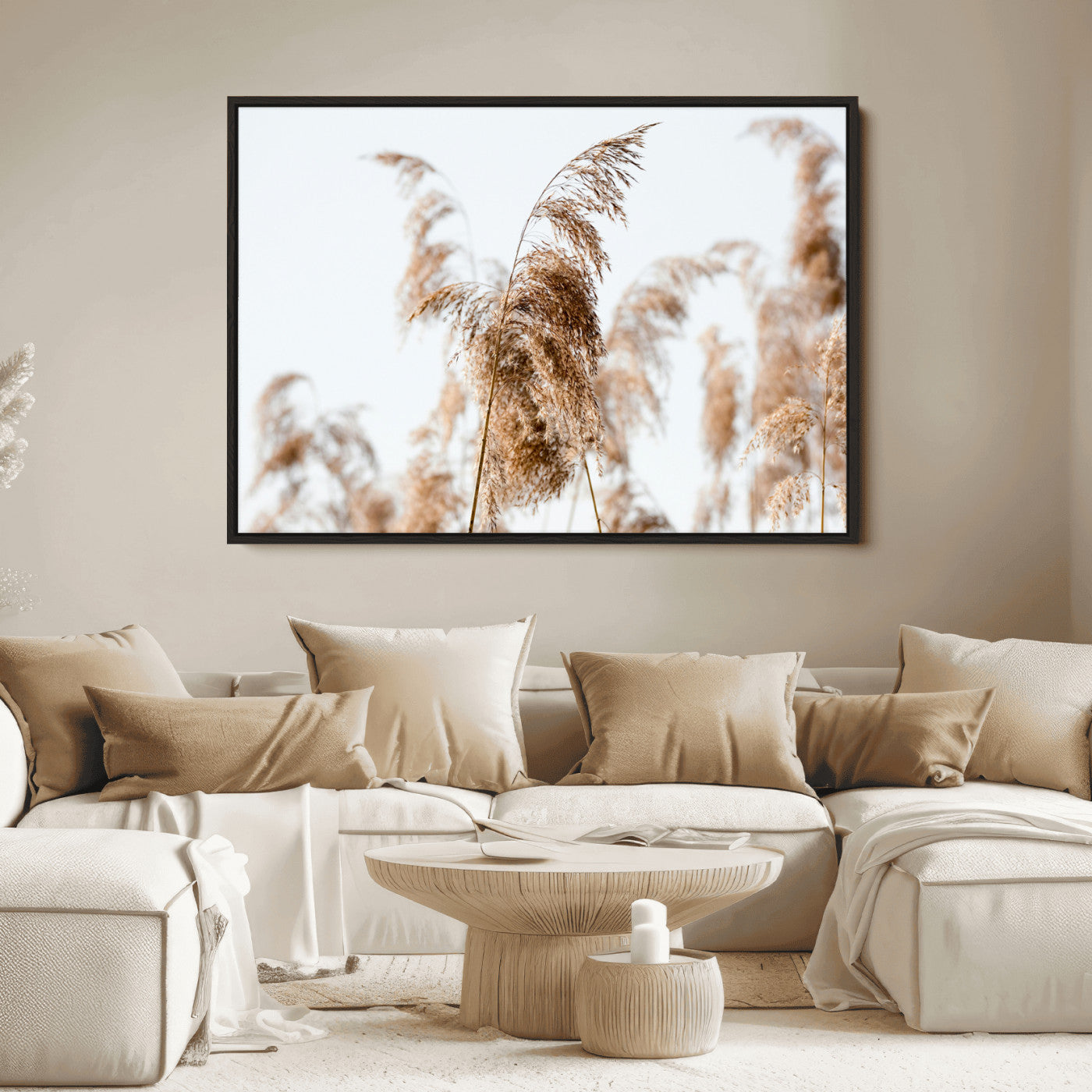 Close-up of pampas grass swaying in the wind against a soft white sky, creating a neutral and minimalist botanical aesthetic.