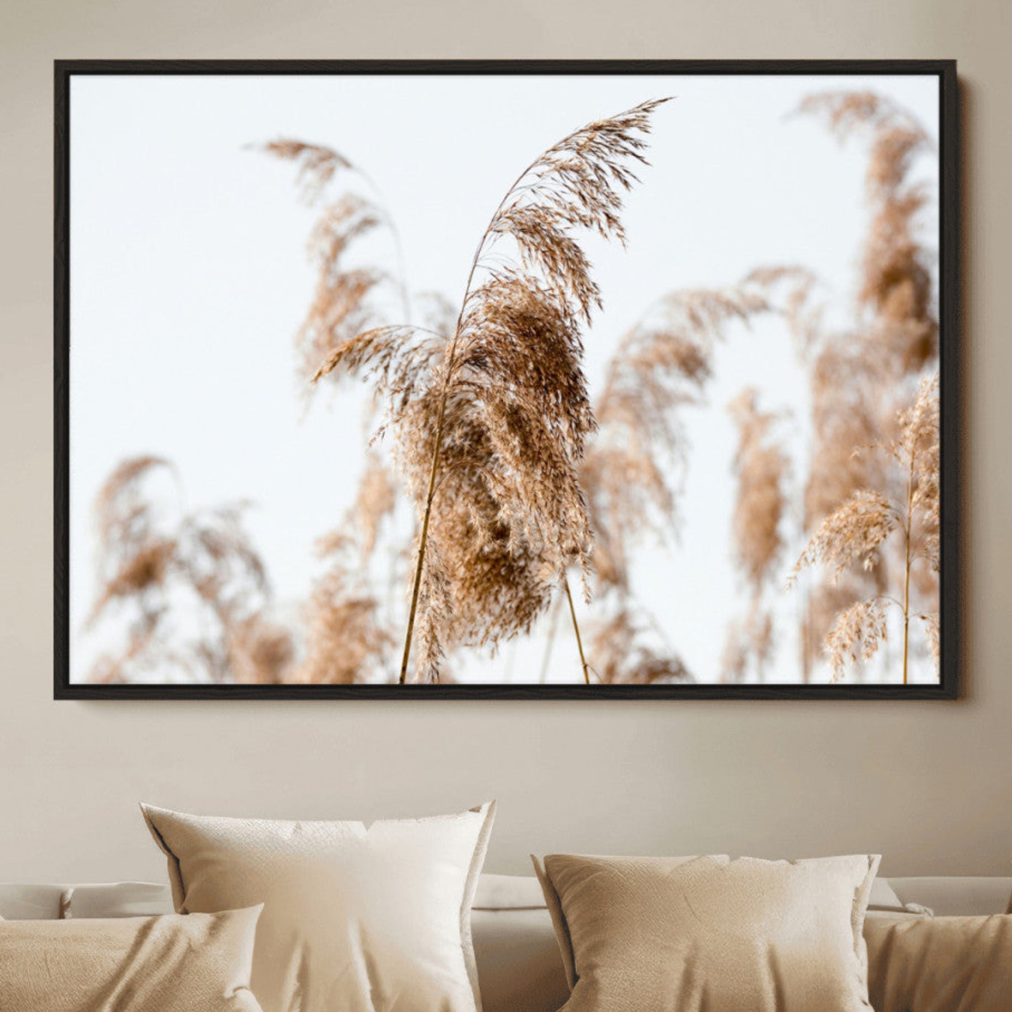 Close-up of pampas grass swaying in the wind against a soft white sky, creating a neutral and minimalist botanical aesthetic.