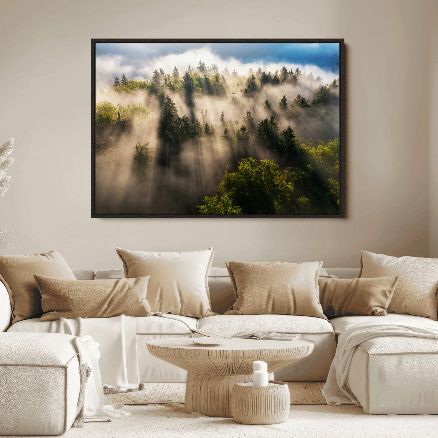 Sunlight streaming through misty pine trees in a lush green forest, creating a serene and atmospheric landscape, perfect for nature-inspired decor.