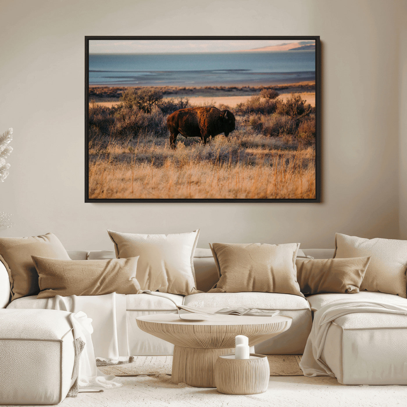A lone bison grazing in golden prairie grass at sunset, with warm earthy tones and a distant lake view, perfect for rustic and western decor.