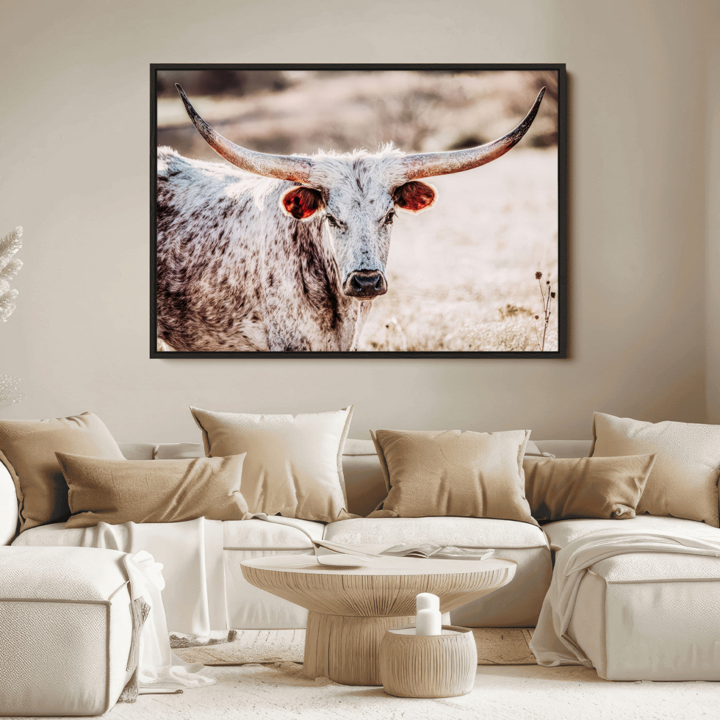 Close-up photograph of a white and brown speckled longhorn cow with very large, curved horns standing in a sunlit field with dry grass and blurred background.
