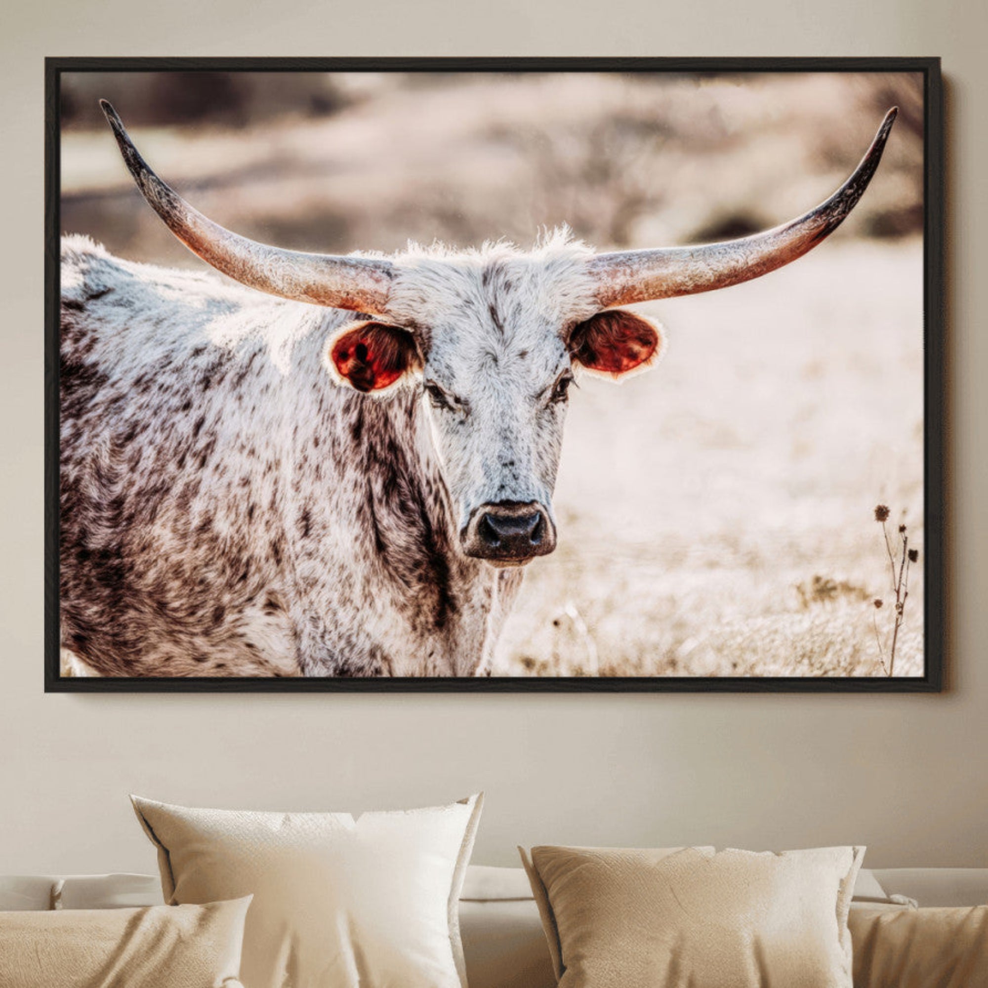 Close-up photograph of a white and brown speckled longhorn cow with very large, curved horns standing in a sunlit field with dry grass and blurred background.