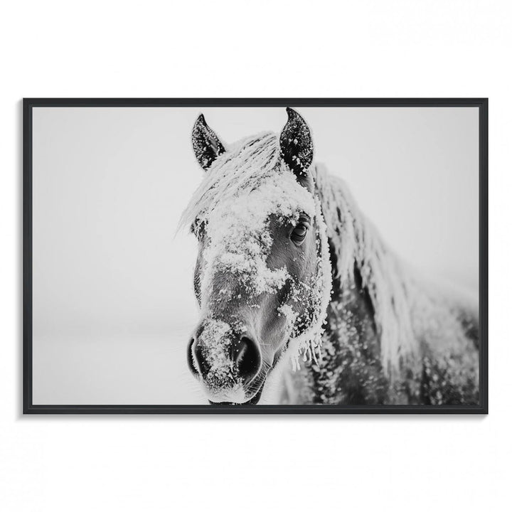 White Horse Wall Art: A black and white photo of a snow-covered horse, framed and ready to hang for farmhouse decor.