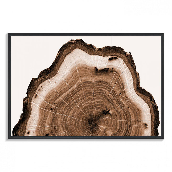 Close-up of the Rustic Wood Rings Wall Art featuring detailed tree rings and natural texture on a plain white background.