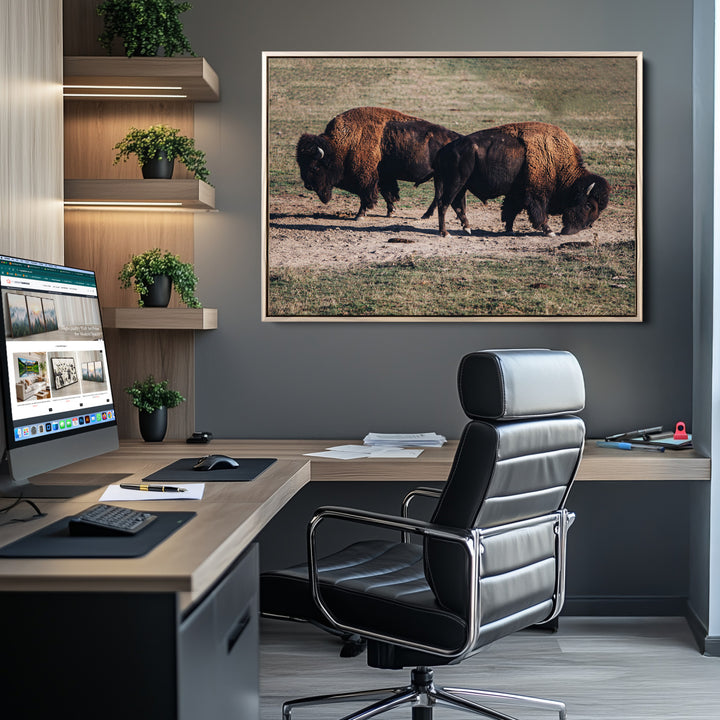 Bison Photography Wall Art Canvas Print, Framed Western Wildlife Art Picture Print, Modern Ranch Perfect Western Rustic Decor Artwork