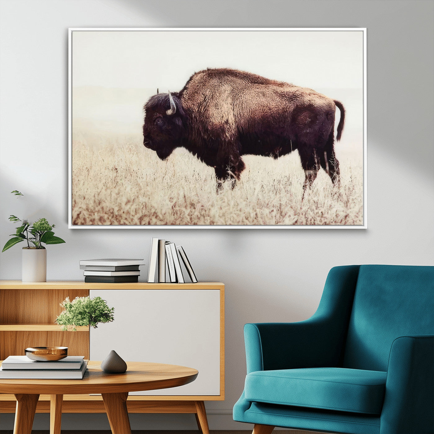 MGV-FC-36X24 - Bison in Field Wall Art Canvas Print For Farmhouse Barn Decor
