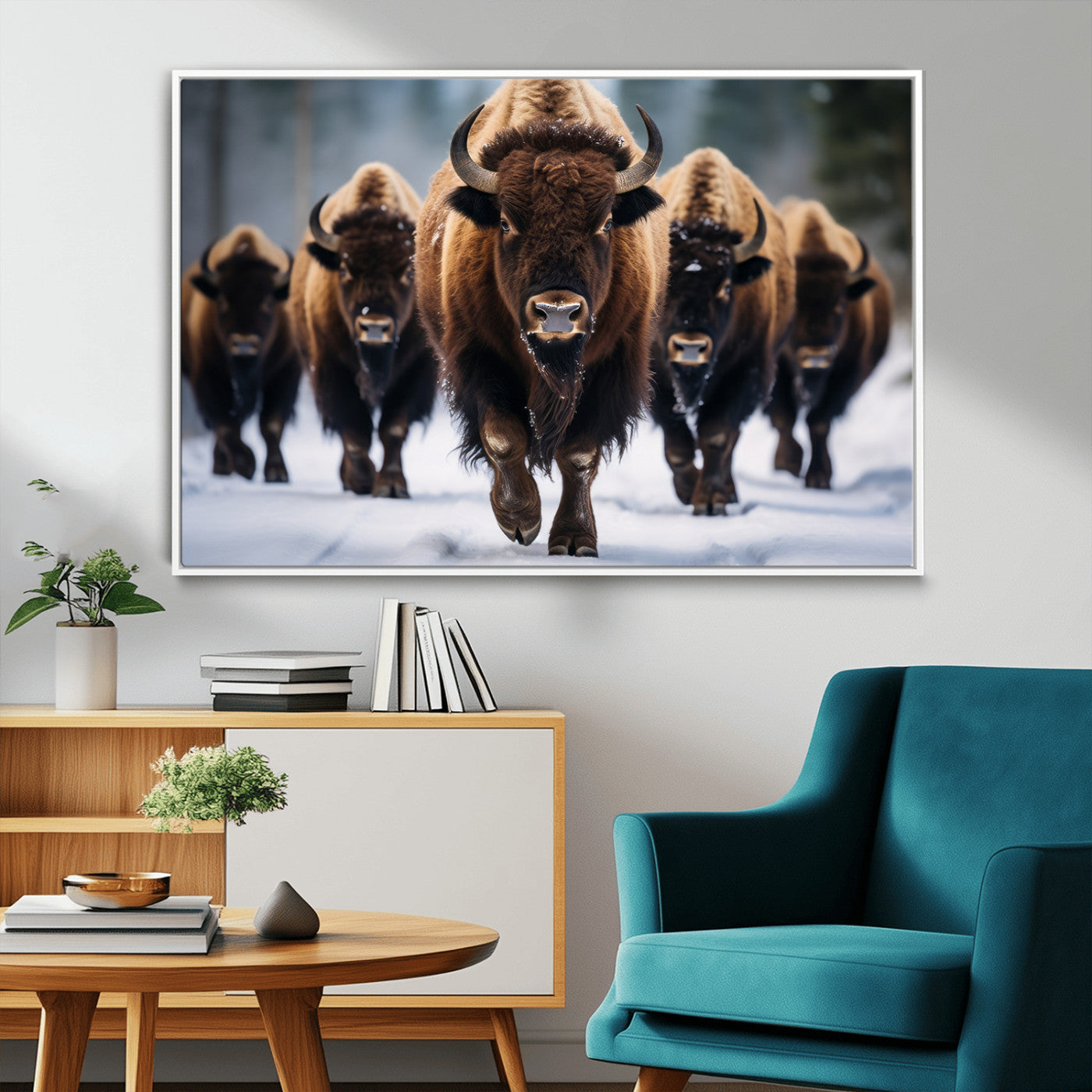MGV-FC-36X24 - Buffalo Wall Art Canvas Print, American Bison Herd Wall Art Canvas Print - Bison Canvas Print
